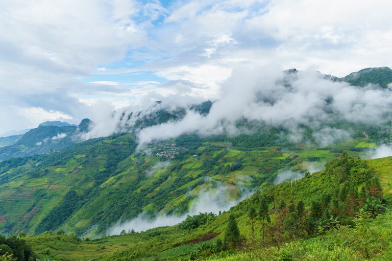 证人保护的相关规定 证人保护措施的适用情形？-第2张图片-私人保镖网